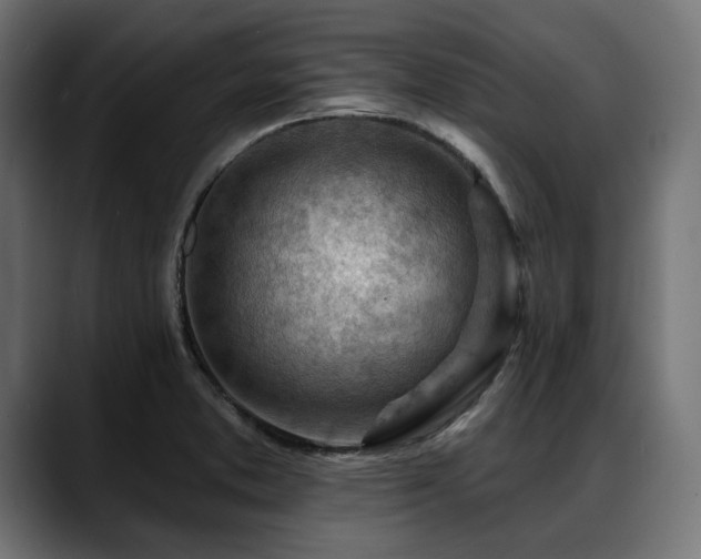 X0000088611373200705251212