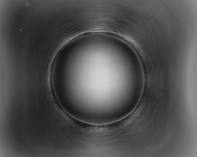 X0000088611374200705251212