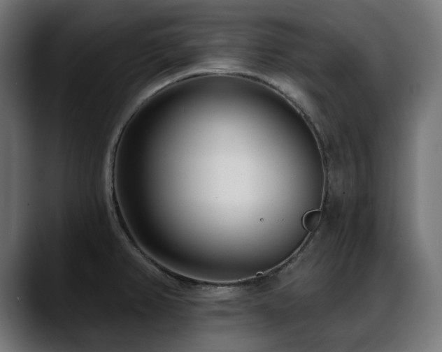 X0000088611382200705251211