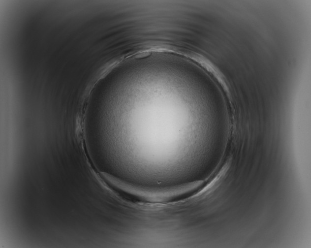 X0000088611385200705251211