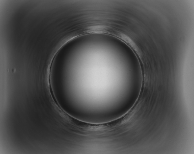 X0000088611386200705251211