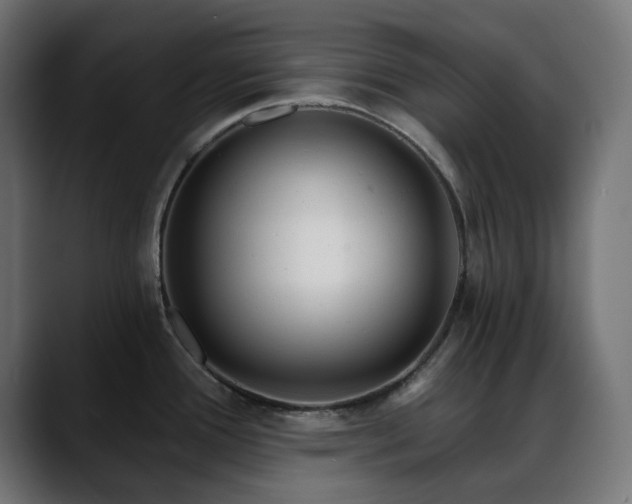 X0000088611388200705251211