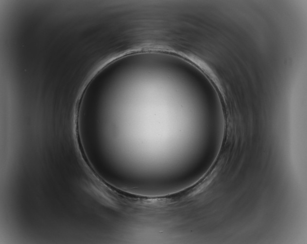 X0000088611390200705251211