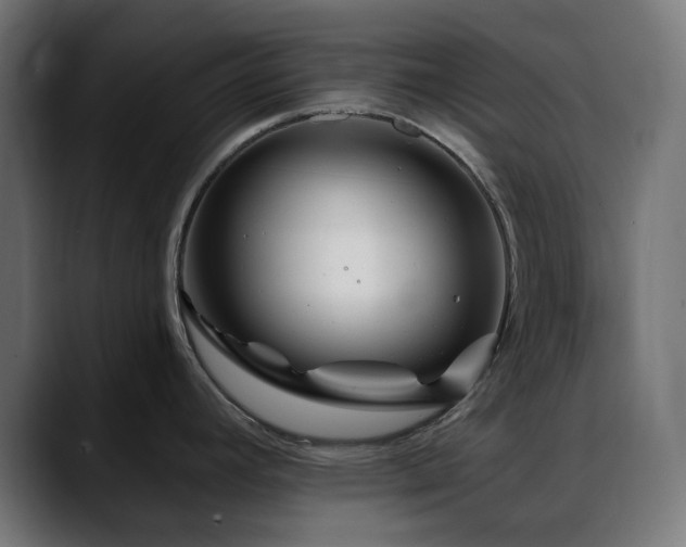 X0000088611392200705251211