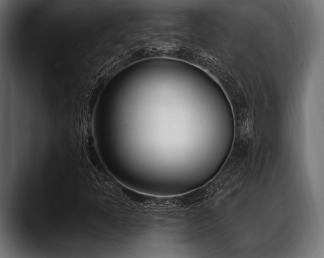 X0000088611397200705251211