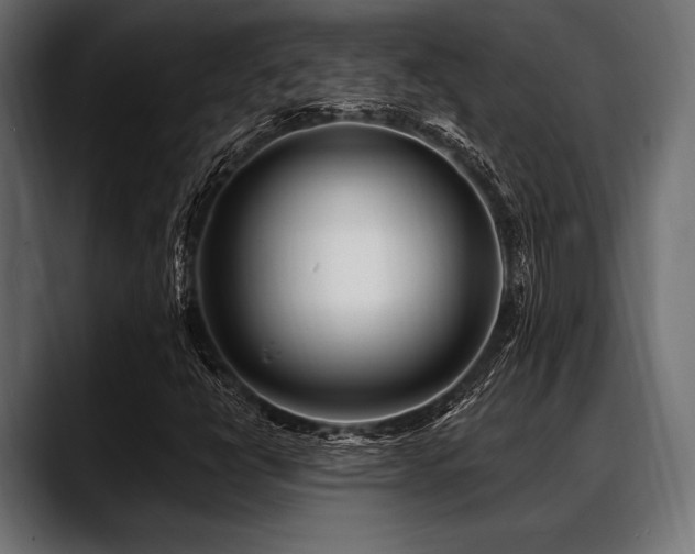 X0000088611398200705251211