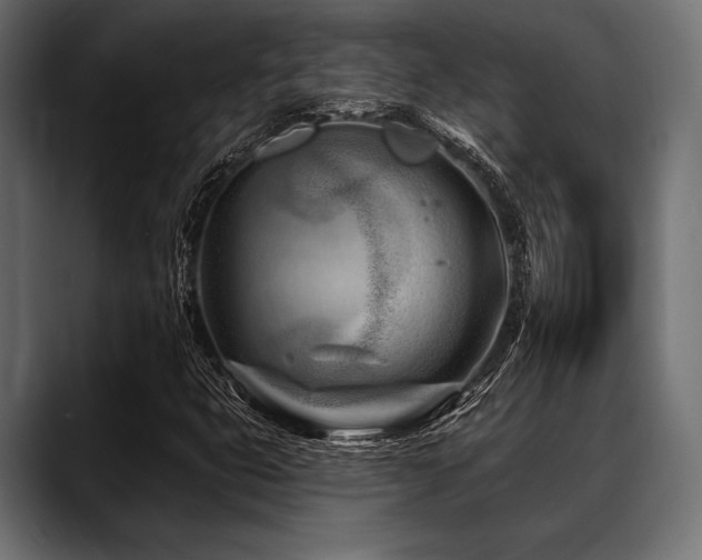 X0000088611399200705251211