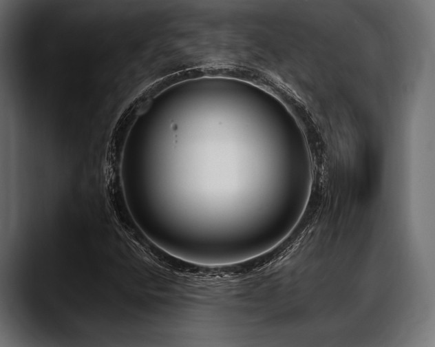 X0000088611400200705251211