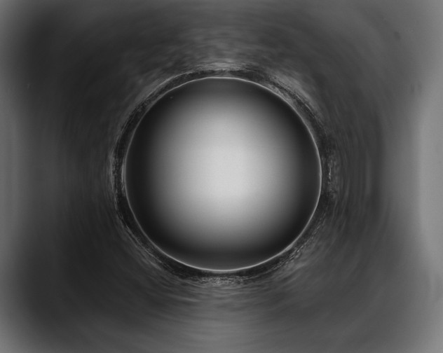 X0000088611404200705251211