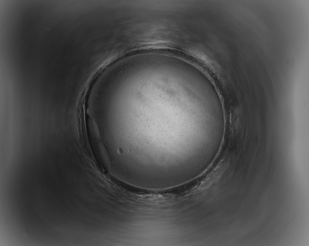 X0000088611405200705251211