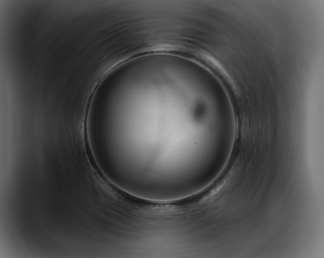 X0000088611417200705251211