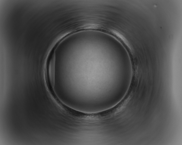 X0000088611418200705251211