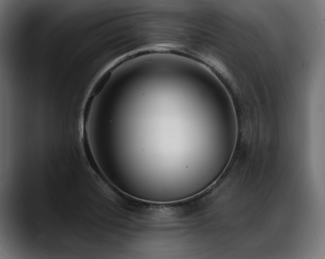 X0000088611420200705251211