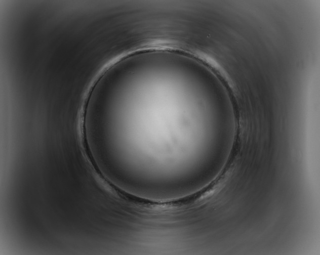 X0000088611421200705251211