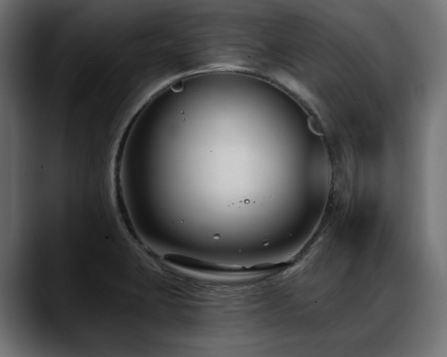 X0000088611423200705251211