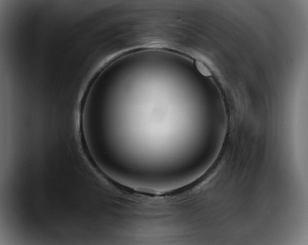 X0000088611424200705251211