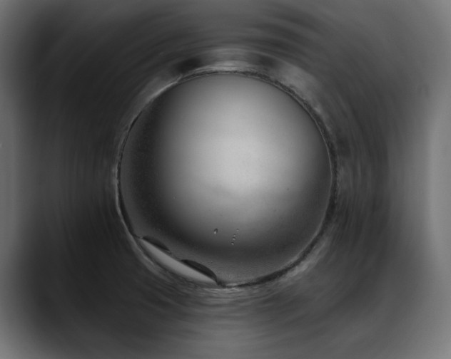 X0000088611425200705251211