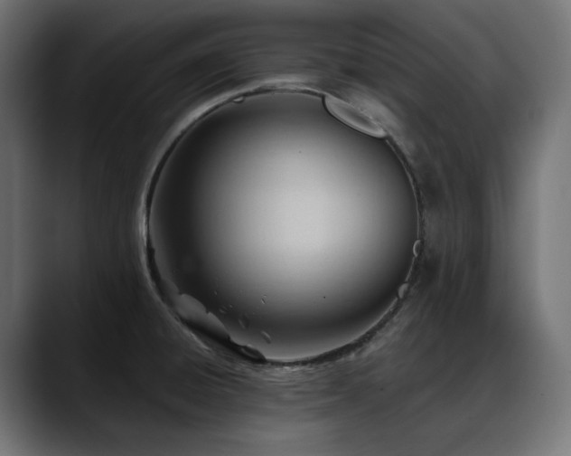 X0000088611428200705251211