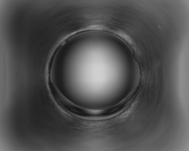 X0000088611430200705251211