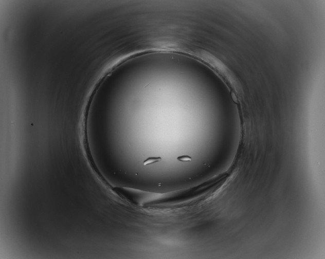 X0000088611432200705251211