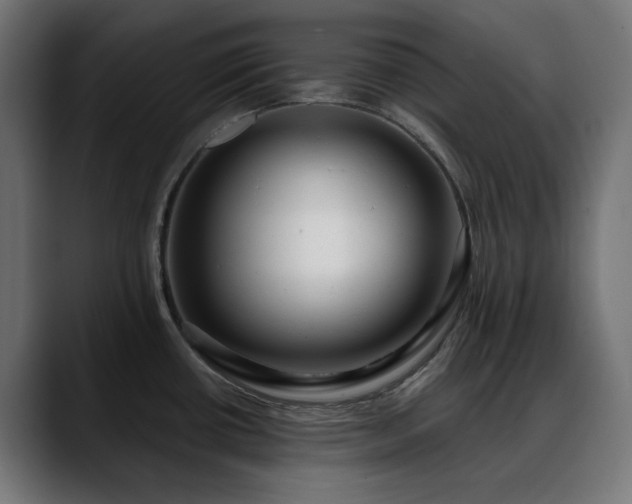 X0000088611434200705251211