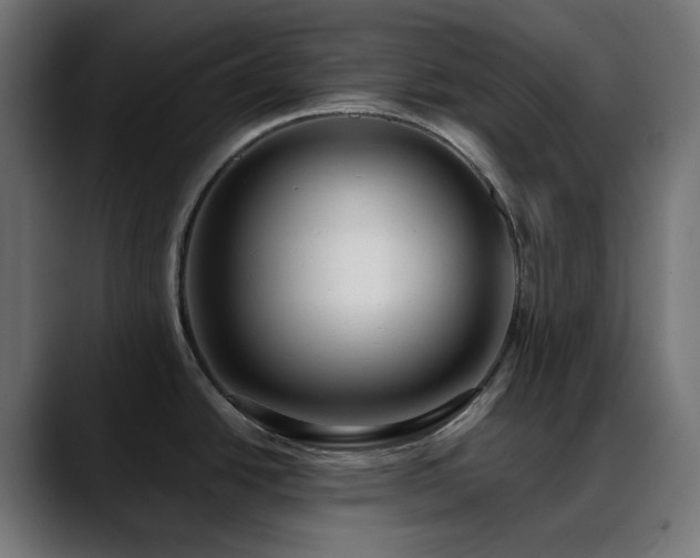 X0000088611438200705251211