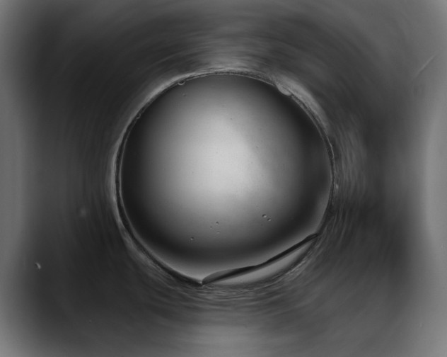 X0000088611439200705251211