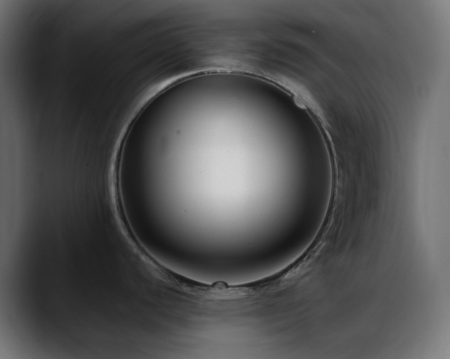 X0000088611440200705251211