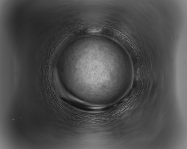 X0000088611441200705251210