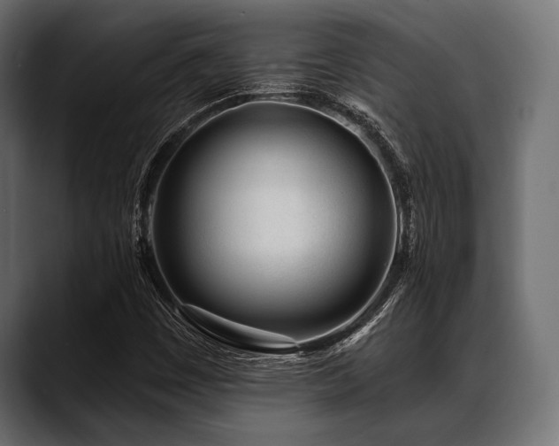 X0000088611449200705251210