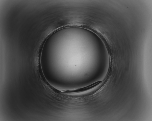 X0000088611459200705251210