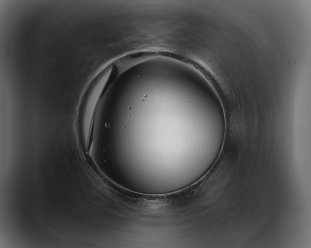 X0000088611460200705251210