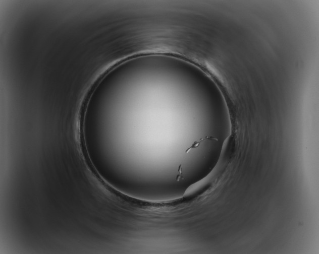 X0000088611468200705251210