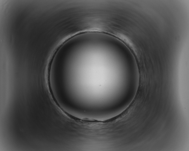 X0000088611480200705251210