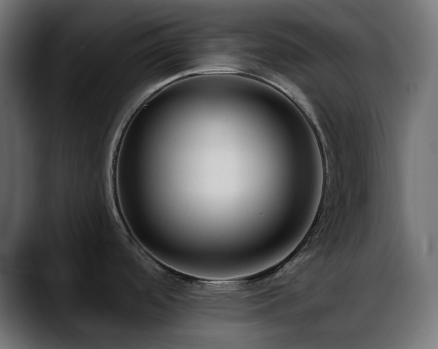 X0000088611488200705251210