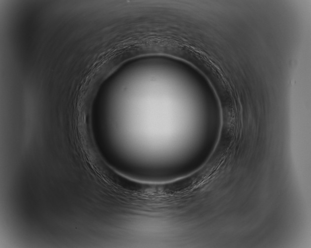 X0000088611489200705251209