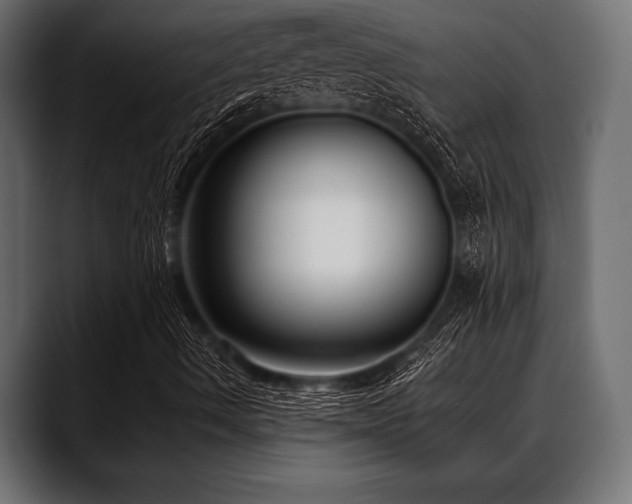 X0000088611490200705251209