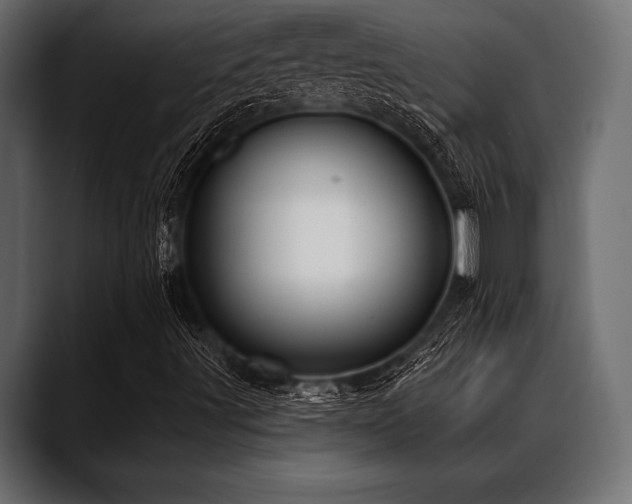 X0000088611491200705251209