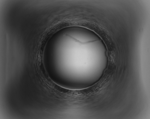 X0000088611493200705251209