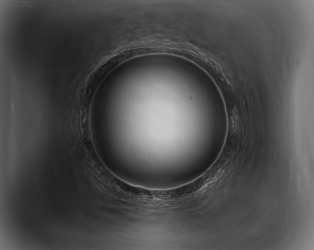 X0000088611494200705251209