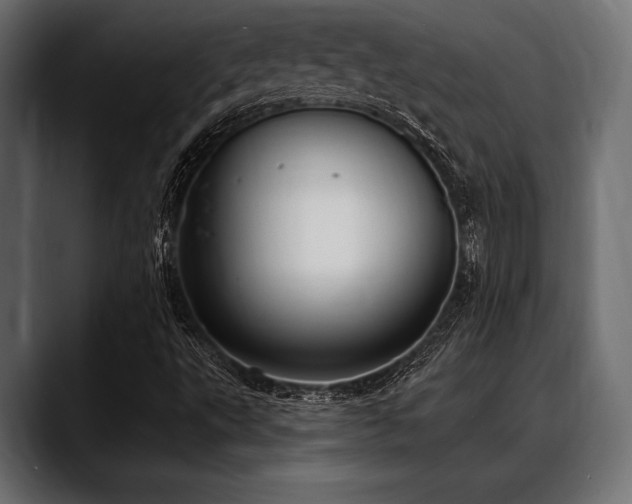 X0000088611495200705251209