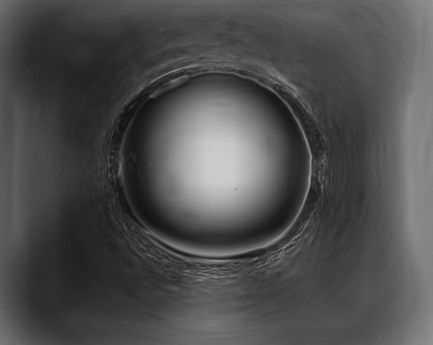 X0000088611496200705251209