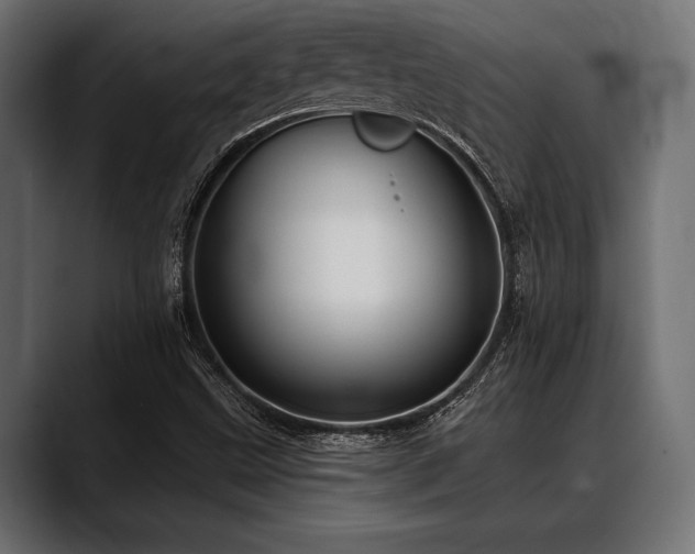 X0000088611499200705251209