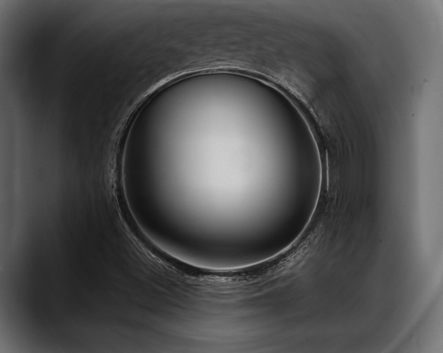 X0000088611500200705251209