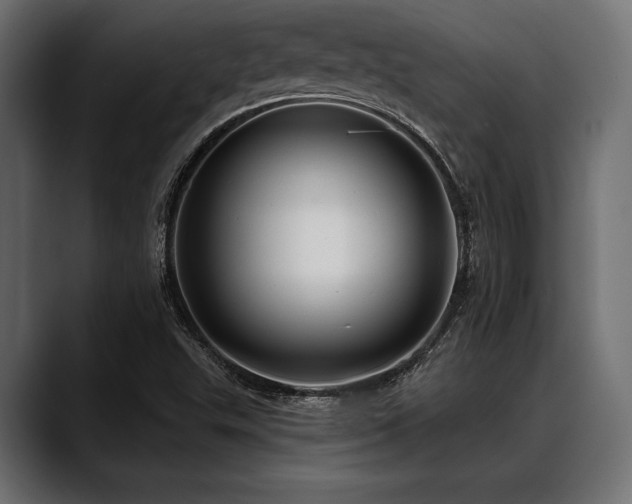 X0000088611503200705251209