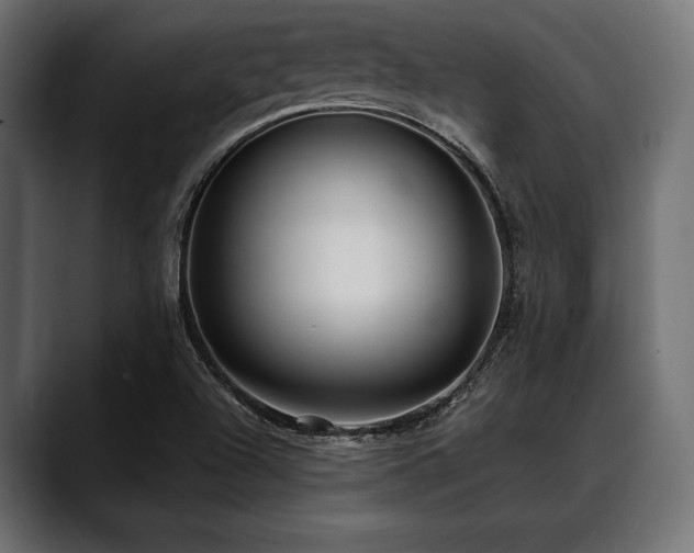 X0000088611504200705251209