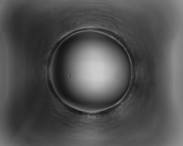 X0000088611505200705251209