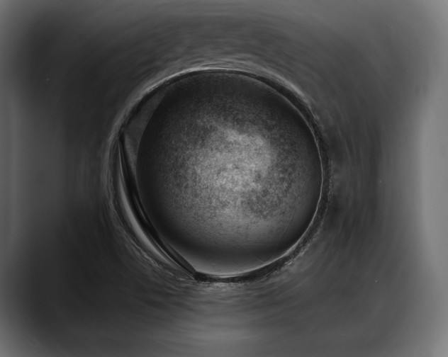 X0000088611506200705251209