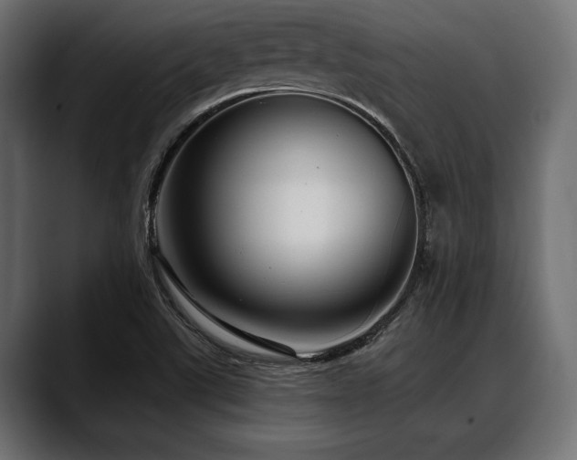 X0000088611507200705251209