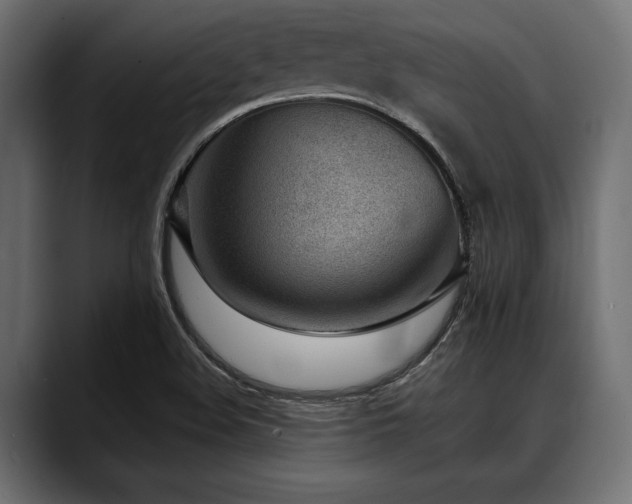 X0000088611508200705251209